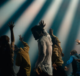 In The Brain | Shechter II